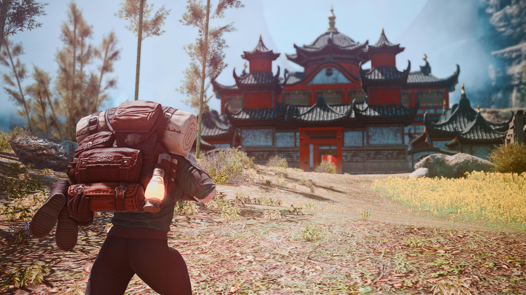 Tyr reaching the end of his Journey to the monastery.